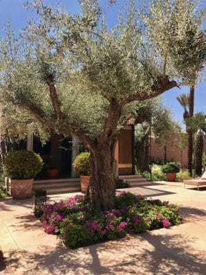 Hotel Royal Mansour - Marrakech, Marrocos