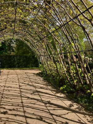 Londres - Kensington Gardens