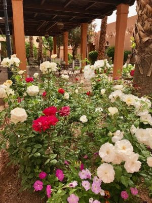 Ouarzazate, Marrocos - Le Berbere Palace