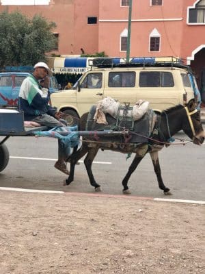 Marrocos - Essaada