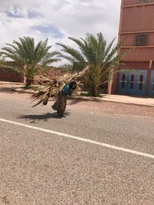 Marrocos - Zagora