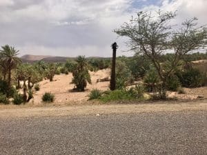 Marrocos - Zagora