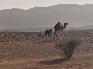 Marrocos - Deserto do Saara