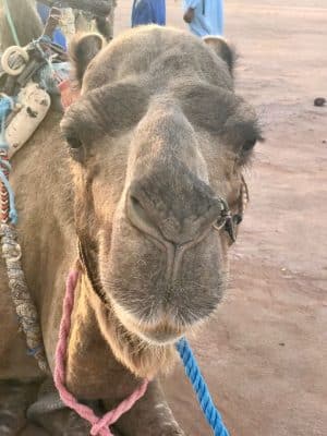 Marrocos - Deserto do Saara