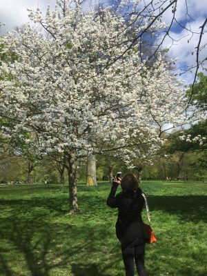 Londres - Kensington Gardens