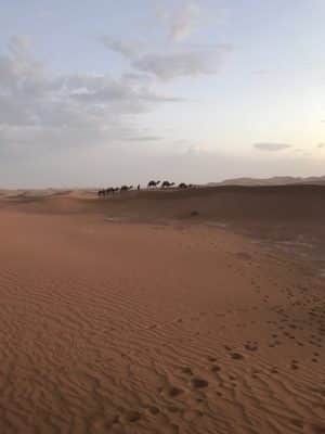 Marrocos - Deserto do Saara