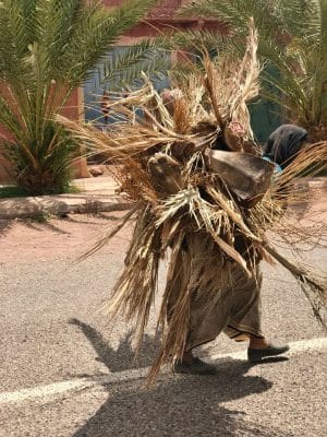 Marrocos - Zagora