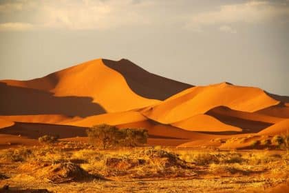 Parque Namib-Naukluft - Namíbia, África