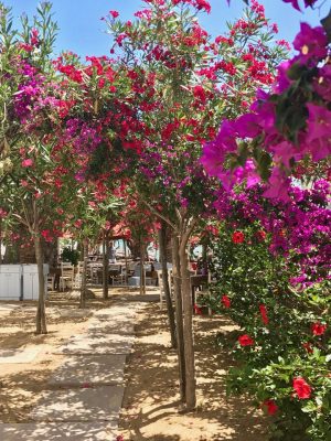 Casamento em Mykonos - Nammos