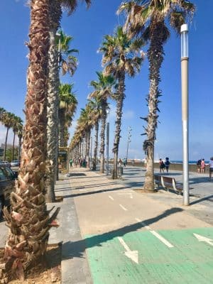 Barcelona em 36 Horas - Barceloneta