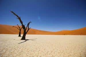 Parque Namib-Naukluft - Namíbia, África