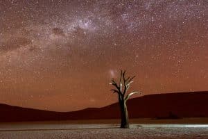 Parque Namib-Naukluft - Namíbia, África