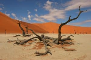 Parque Namib-Naukluft - Namíbia, África
