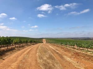 Herdade do Esporão - Alentejo, Portugal