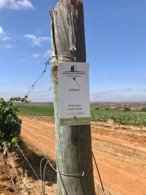 Herdade do Esporão - Alentejo, Portugal