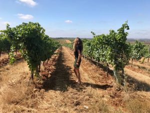 Herdade do Esporão - Alentejo, Portugal