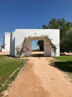 Herdade do Esporão - Alentejo, Portugal