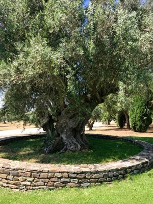 Herdade do Esporão - Alentejo, Portugal