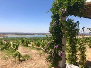 Herdade do Esporão - Alentejo, Portugal