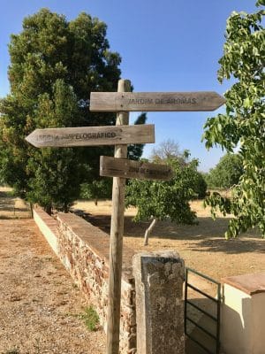 Adega Cartuxa - Alentejo, Portugal