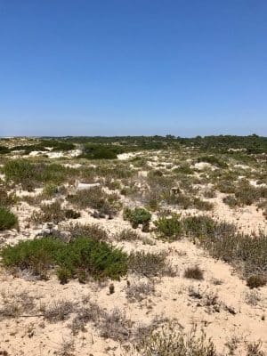 Praia do Pego - Comporta, Portugal