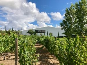 L'AND Vineyards Hotel - Alentejo, Portugal