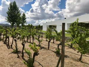 L'AND Vineyards Hotel - Alentejo, Portugal