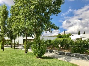 L'AND Vineyards Hotel - Alentejo, Portugal