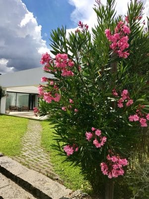 L'AND Vineyards Hotel - Alentejo, Portugal