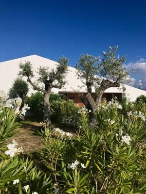 L'AND Vineyards Hotel - Alentejo, Portugal