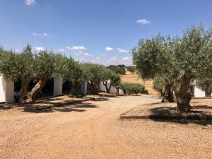 Herdade da Malhadinha Nova - Alentejo, Portugal