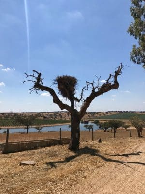 Herdade da Malhadinha Nova - Alentejo, Portugal