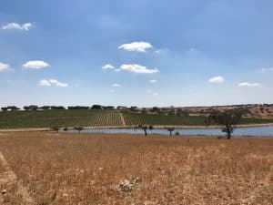 Herdade da Malhadinha Nova - Alentejo, Portugal