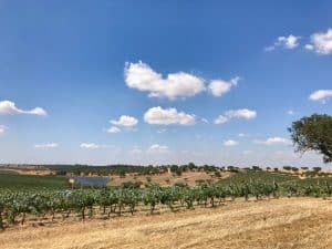 Herdade da Malhadinha Nova - Alentejo, Portugal