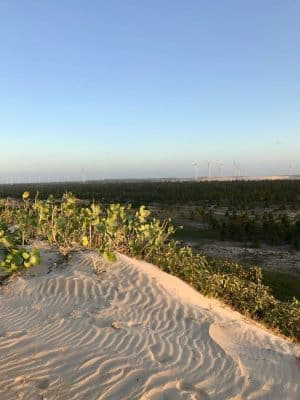 Dunas em Guajiru, Trairi, Ceará