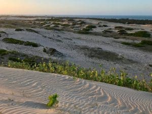 Dunas em Guajiru, Trairi, Ceará