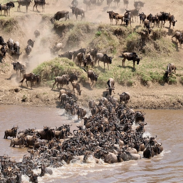 Serengeti National Park